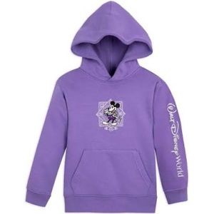 Mickey & Friends Disney100 Purple Pullover Hoodie - Walt Disney World. Adult XL